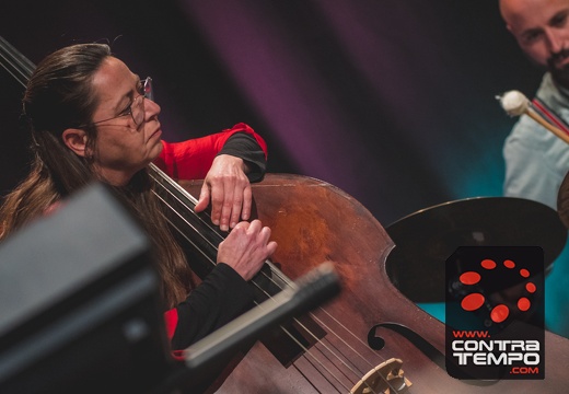 173- ACF0508(Andre Frias)