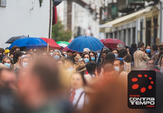 126- ACF7037(Andre Frias)