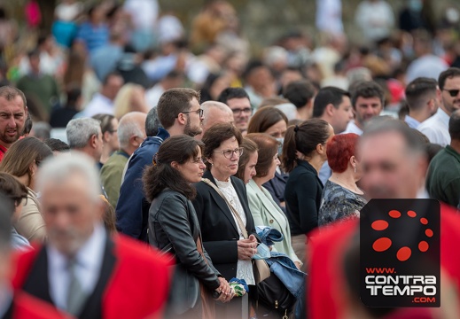 039- ACF7245(Andre Frias)