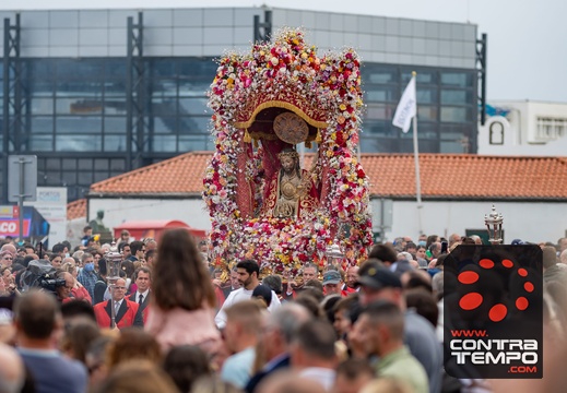 006- ACF7216(Andre Frias)