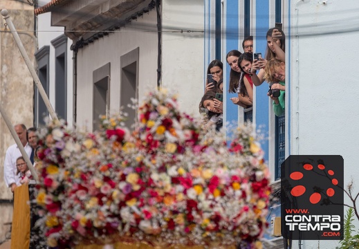 035- ACF7259(Andre Frias)