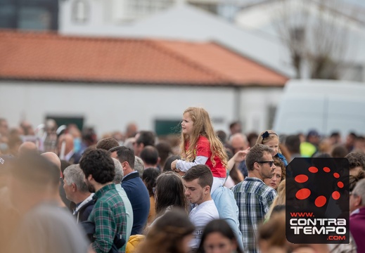 038- ACF7248(Andre Frias)