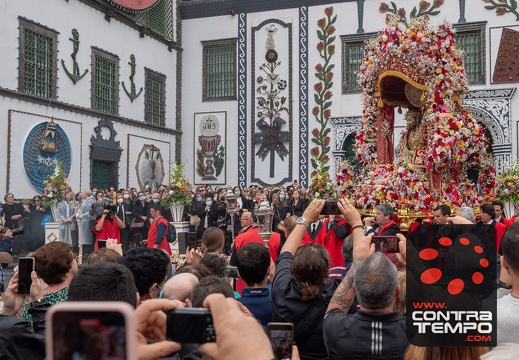 060- ACF1974(Andre Frias)