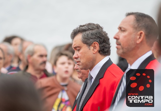 046- ACF7177(Andre Frias)