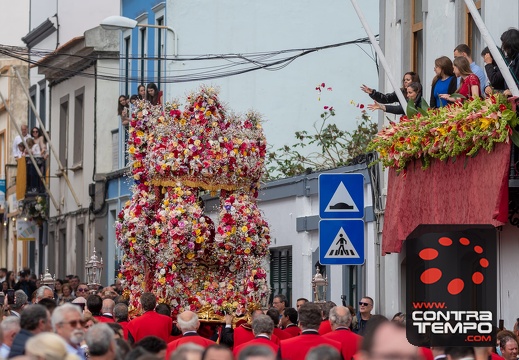 036- ACF7256(Andre Frias)