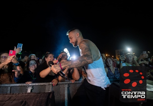 043- ACF3337(Andre Frias)