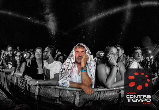 017- ACF1133(Andre Frias)