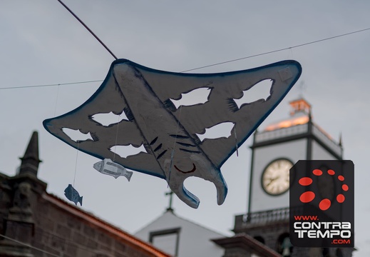 012- ACF3902(Andre Frias)