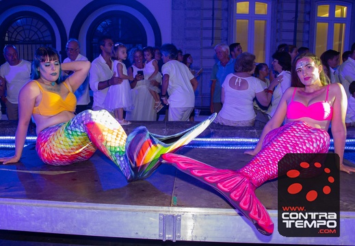 021- VL13893(Veronica Lalanda)