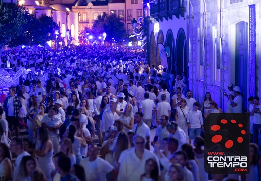 080- ACF3952(Andre Frias)