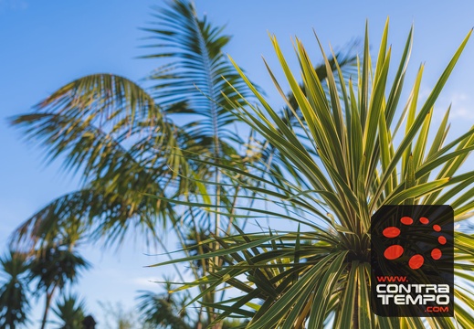 014- ACF7296(Andre Frias)2020, Inauguraçao, JM Eventos, VFDC, Vila Franca do Campo, Villa Garden