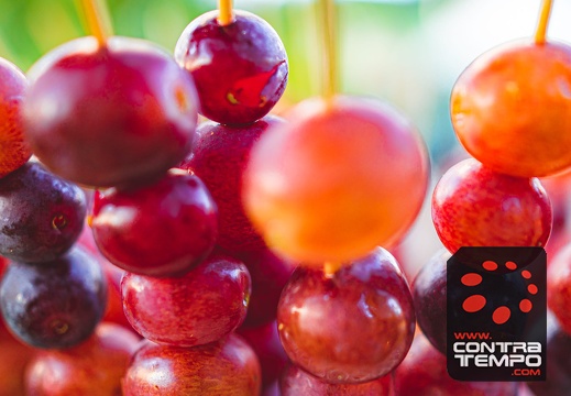 005- ACF7280(Andre Frias)2020, Inauguraçao, JM Eventos, VFDC, Vila Franca do Campo, Villa Garden