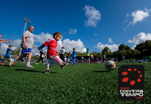 028 ACF1652 Andre Frias