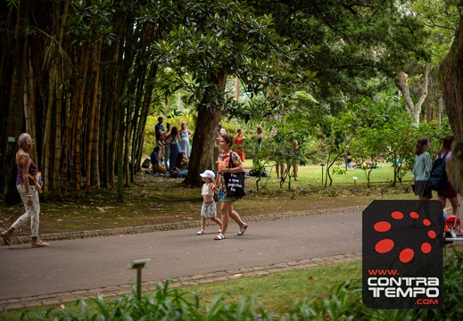 010- ACF6470 Andre Frias