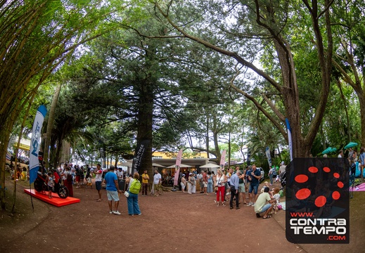 017- ACF5651 Andre Frias