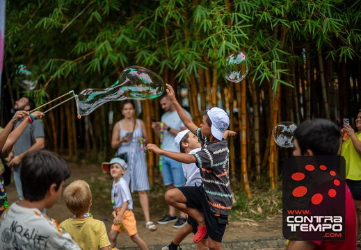 029- ACF6404 Andre Frias