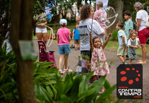 031- ACF6397 Andre Frias