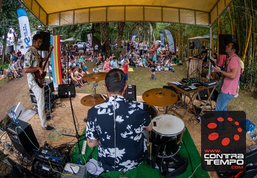 047- ACF5738 Andre Frias