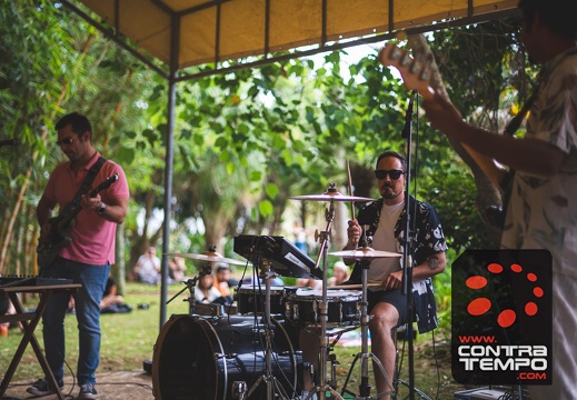 049- ACF6563 Andre Frias