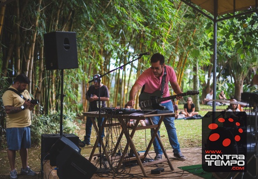 050- ACF6560 Andre Frias