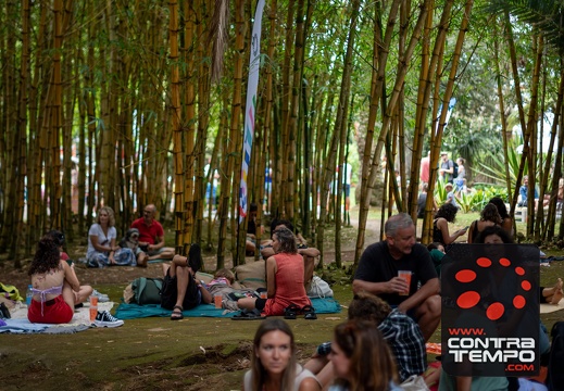 073- ACF6459 Andre Frias