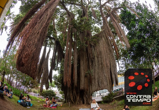 076- ACF5665 Andre Frias