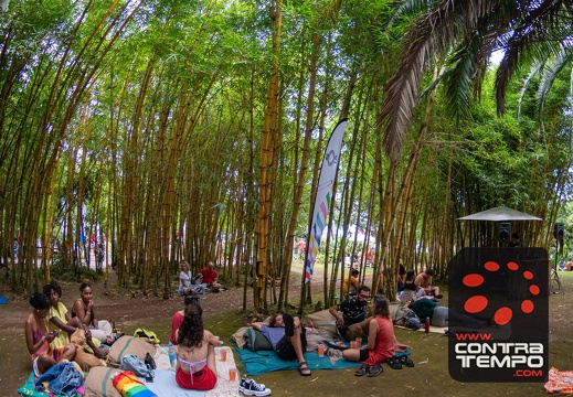 079- ACF5655 Andre Frias