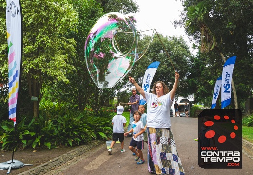 113- VL19902 Veronica Lalanda