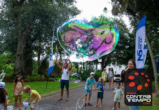 123- VL10014 Veronica Lalanda