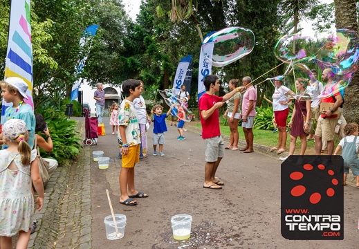 131- VL19925 Veronica Lalanda