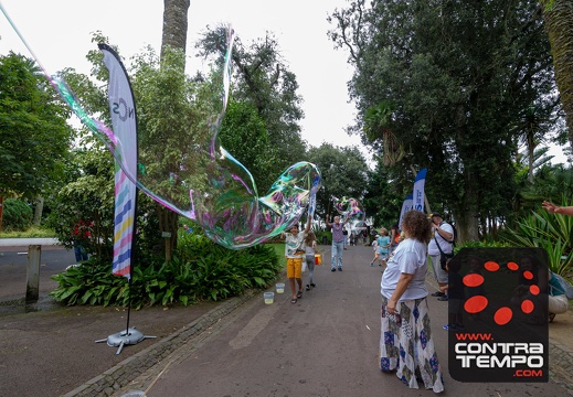 135- VL19914 Veronica Lalanda