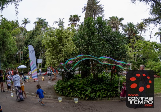 136- ACF5530 Andre Frias