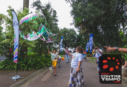 137- VL19913 Veronica Lalanda