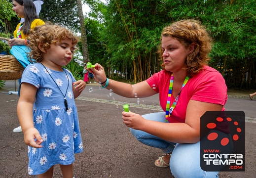 141- VL19873 Veronica Lalanda