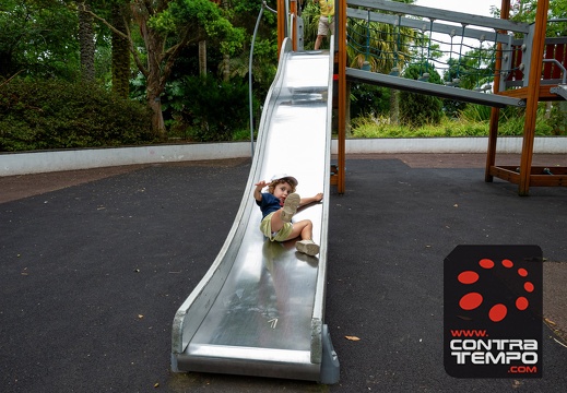 147- VL19843 Veronica Lalanda