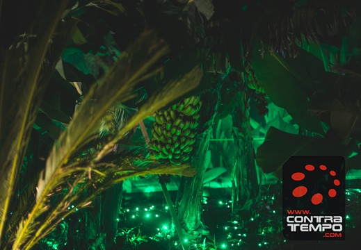 035- ACF2985 Andre Frias