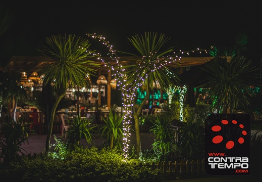 065- ACF2988 Andre Frias