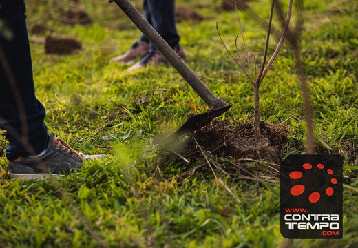 004-ClaudioMPacheco-7081-Claudio Pacheco