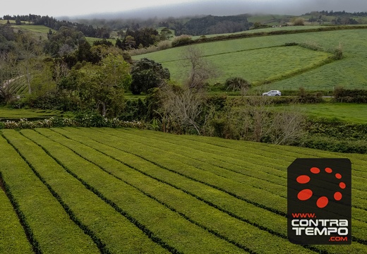 010-DJI 0660-André Frias