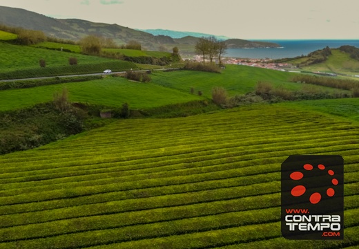 018-DJI 0643-André Frias