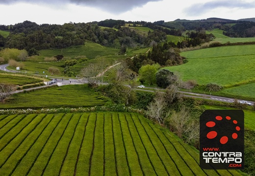 019-DJI 0638-André Frias