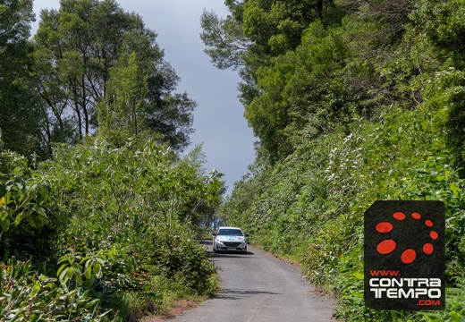 018- ACF0228-André Frias