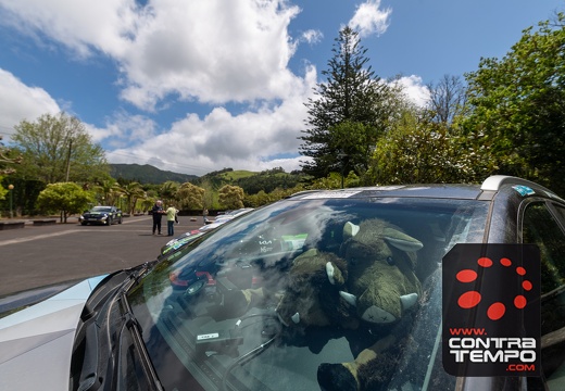 004- ACF1231-André Frias