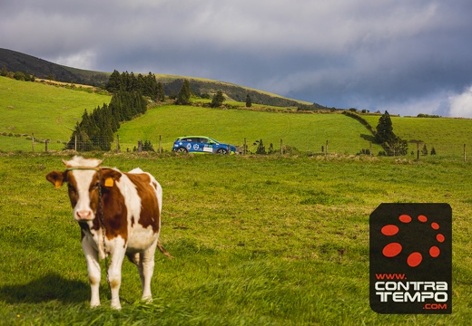 001-ClaudioMPacheco-8102-Claudio Pacheco