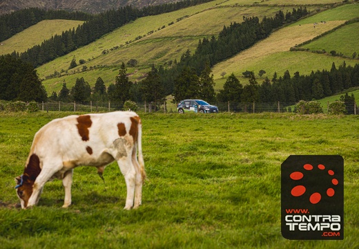 003-ClaudioMPacheco-8042-Claudio Pacheco