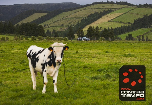 007-ClaudioMPacheco-8271-Claudio Pacheco