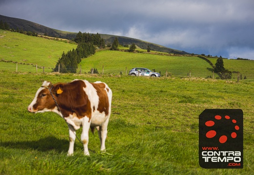 010-ClaudioMPacheco-8123-Claudio Pacheco