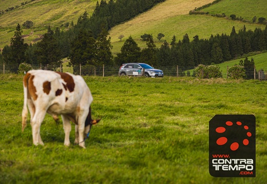 012-ClaudioMPacheco-8061-Claudio Pacheco