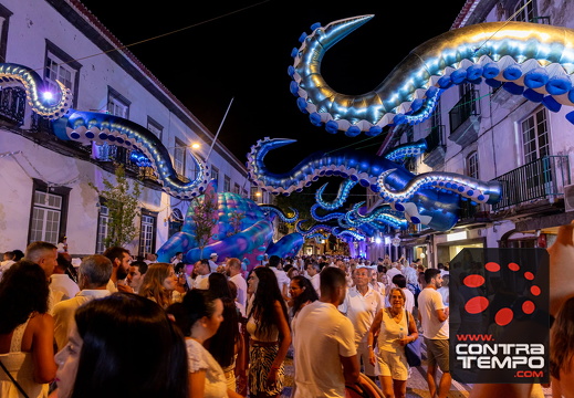 016JAZE3265 (c)João Azevedo