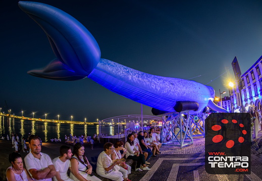 031 ACF4605-Enhanced-NR (c)André Frias